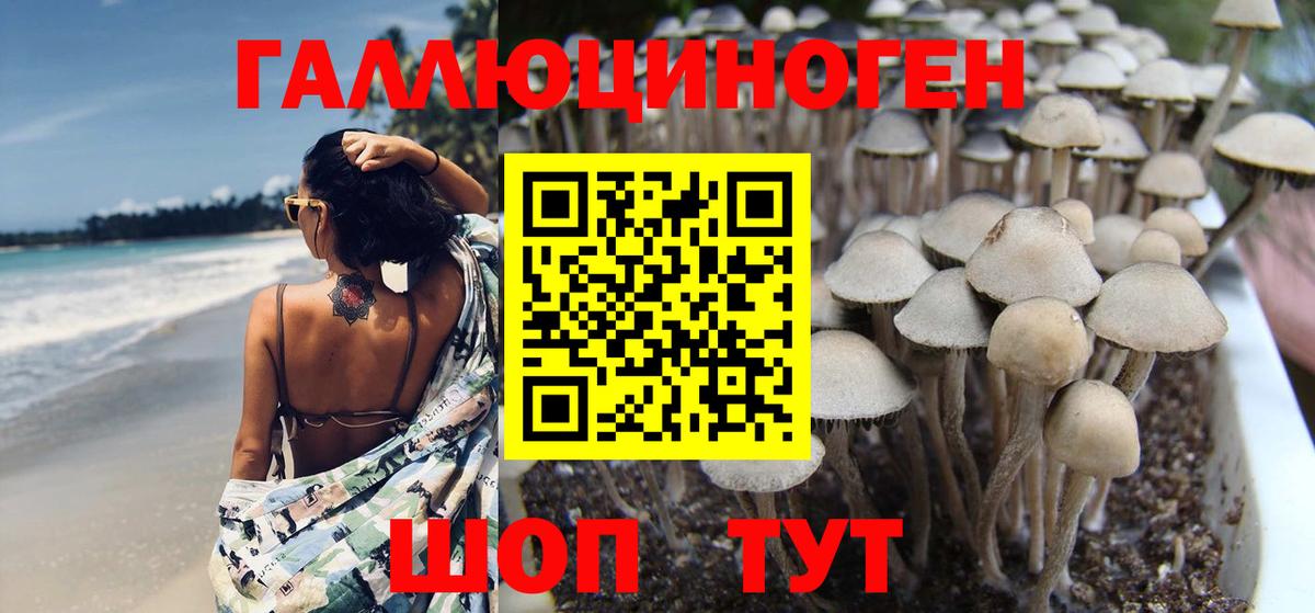 Галлюциногенные грибы ЛСД Шелехов